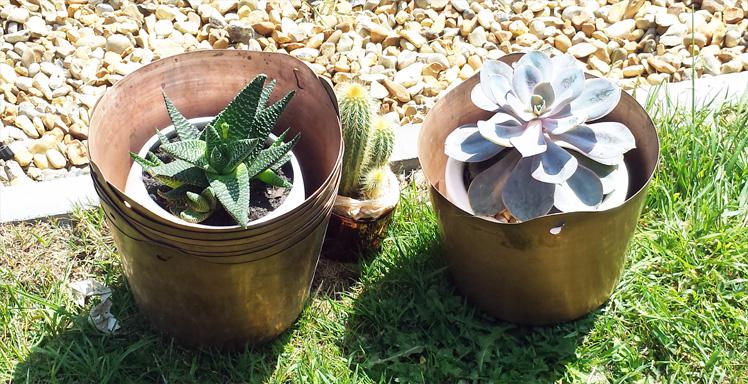 Mexicana Photoshoot Behind the Scenes Flower Prep