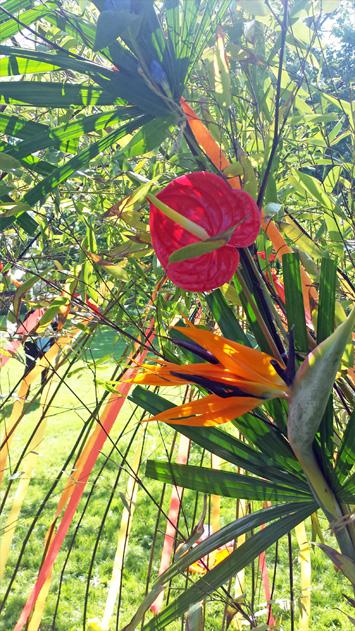 Mexicana Photoshoot Behind the Scenes - Tipi florals